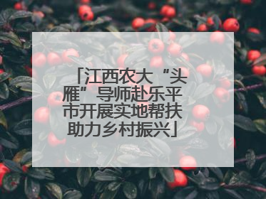 江西农大“头雁”导师赴乐平市开展实地帮扶助力乡村振兴