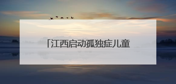 江西启动孤独症儿童关爱服务公益行动 提供系统化康复服务
