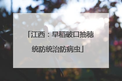江西：早稻破口抽穗 统防统治防病虫