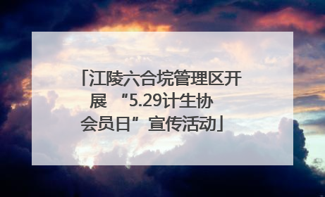 江陵六合垸管理区开展 “5.29计生协会员日”宣传活动