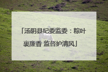 汤阴县纪委监委：粽叶裹廉香 监督护清风