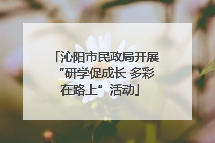 沁阳市民政局开展“研学促成长 多彩在路上”活动