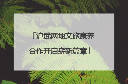 沪武两地文旅康养合作开启崭新篇章