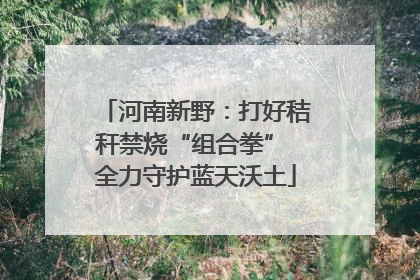 河南新野：打好秸秆禁烧“组合拳” 全力守护蓝天沃土