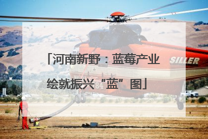 河南新野：蓝莓产业绘就振兴“蓝”图