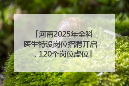 河南2025年全科医生特设岗位招聘开启，120个岗位虚位