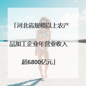 河北省规模以上农产品加工企业年营业收入超6800亿元