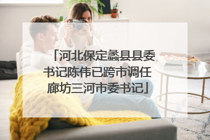 河北保定蠡县县委书记陈伟已跨市调任廊坊三河市委书记