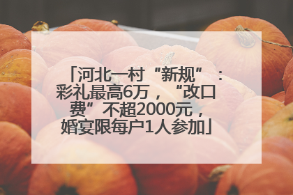 河北一村“新规”：彩礼最高6万，“改口费”不超2000元，婚宴限每户1人参加