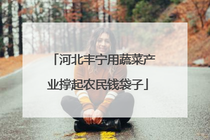 河北丰宁用蔬菜产业撑起农民钱袋子