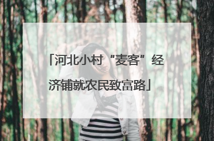 河北小村“麦客”经济铺就农民致富路