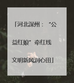 河北深州：“公益红娘”牵红线 文明新风润心田