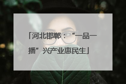 河北邯郸：“一品一播”兴产业惠民生