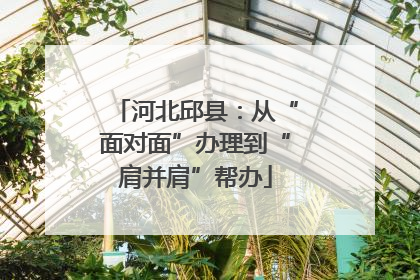 河北邱县：从“面对面”办理到“肩并肩”帮办