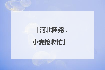 河北隆尧：小麦抢收忙