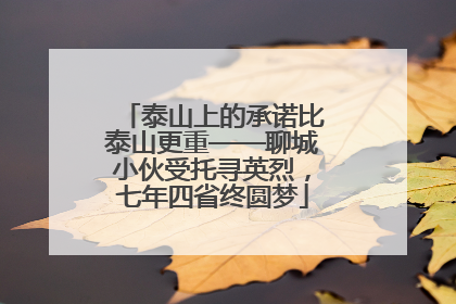 泰山上的承诺比泰山更重——聊城小伙受托寻英烈，七年四省终圆梦
