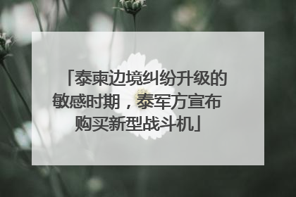 泰柬边境纠纷升级的敏感时期，泰军方宣布购买新型战斗机
