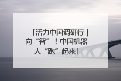活力中国调研行｜向“智”！中国机器人“跑”起来