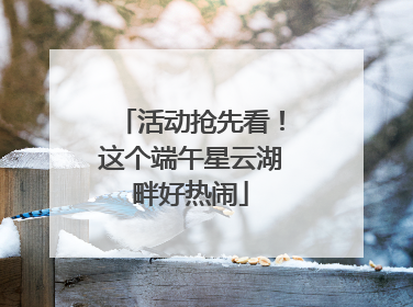 活动抢先看！这个端午星云湖畔好热闹