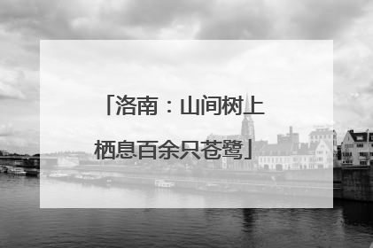 洛南：山间树上栖息百余只苍鹭