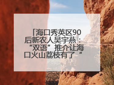 海口秀英区90后新农人吴宇燕：“双语”推介让海口火山荔枝有了“国际范”