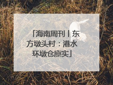 海南周刊丨东方墩头村：港水环墩仓廪实