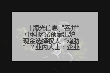 海光信息“吞并”中科曙光预案出炉 现金选择权太“鸡肋”？业内人士：企业不想大量现金流出