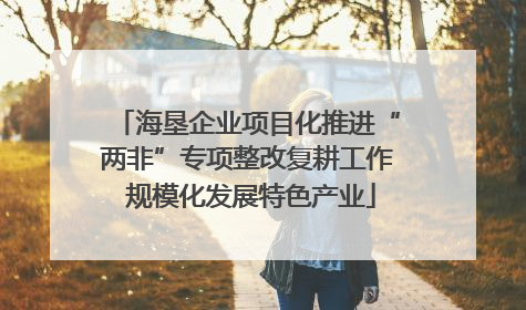 海垦企业项目化推进“两非”专项整改复耕工作 规模化发展特色产业