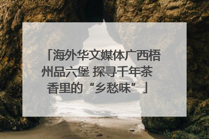 海外华文媒体广西梧州品六堡 探寻千年茶香里的“乡愁味”