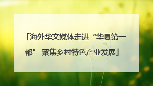 海外华文媒体走进“华夏第一都” 聚焦乡村特色产业发展