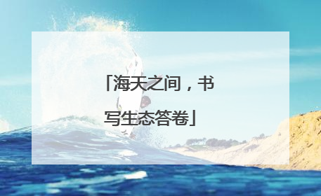 海天之间，书写生态答卷