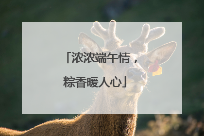 浓浓端午情，粽香暖人心