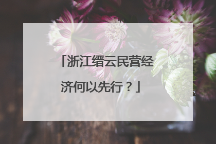 浙江缙云民营经济何以先行？