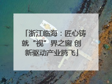 浙江临海：匠心铸就“视”界之窗 创新驱动产业腾飞