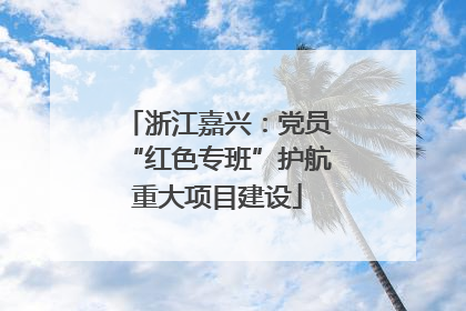 浙江嘉兴：党员“红色专班”护航重大项目建设