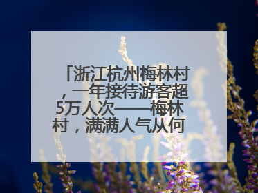 浙江杭州梅林村，一年接待游客超5万人次——梅林村，满满人气从何来（经济新方位·农村消费观察）