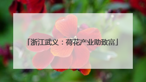 浙江武义：荷花产业助致富