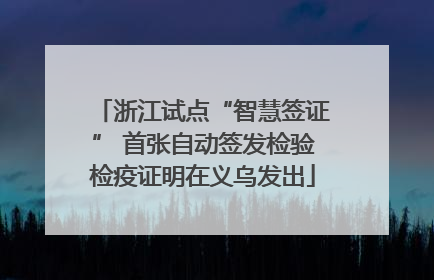 浙江试点“智慧签证” 首张自动签发检验检疫证明在义乌发出