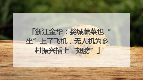 浙江金华：婺城蔬菜也“坐”上了飞机，无人机为乡村振兴插上“翅膀”