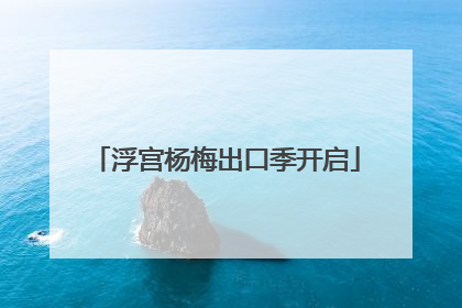 浮宫杨梅出口季开启