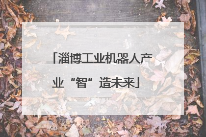 淄博工业机器人产业“智”造未来