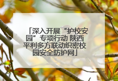 深入开展“护校安园”专项行动 陕西平利多方联动织密校园安全防护网
