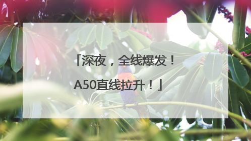 深夜，全线爆发！A50直线拉升！