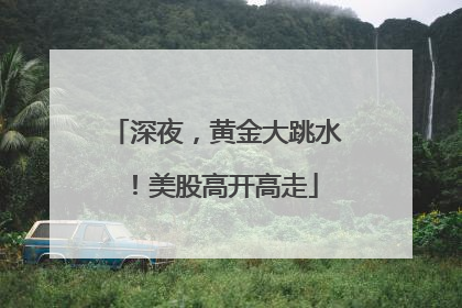深夜，黄金大跳水！美股高开高走