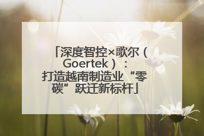 深度智控×歌尔（Goertek）：打造越南制造业“零碳”跃迁新标杆