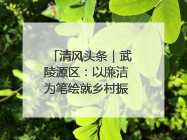 清风头条｜武陵源区：以廉洁为笔绘就乡村振兴新画卷
