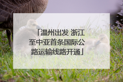 温州出发 浙江至中亚首条国际公路运输线路开通