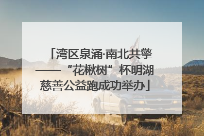 湾区泉涌·南北共擎——“花楸树”杯明湖慈善公益跑成功举办