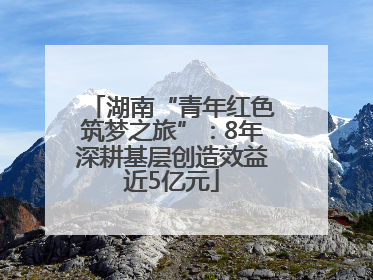 湖南“青年红色筑梦之旅”：8年深耕基层创造效益近5亿元