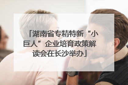 湖南省专精特新“小巨人”企业培育政策解读会在长沙举办
